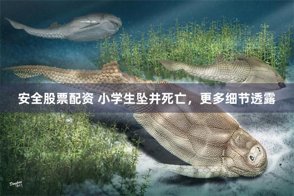   安全股票配资 小学生坠井死亡，更多细节透露