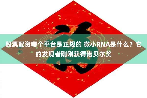   股票配资哪个平台是正规的 微小RNA是什么？它的发现者刚刚获得诺贝尔奖