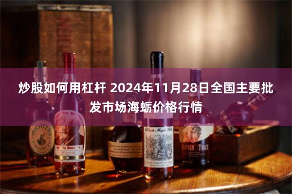 炒股如何用杠杆 2024年11月28日全国主要批发市场海蛎价格行情