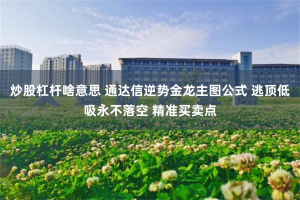   炒股杠杆啥意思 通达信逆势金龙主图公式 逃顶低吸永不落空 精准买卖点