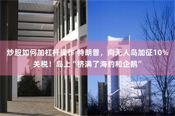 炒股如何加杠杆操作 特朗普，向无人岛加征10%关税！岛上“挤满了海豹和企鹅”