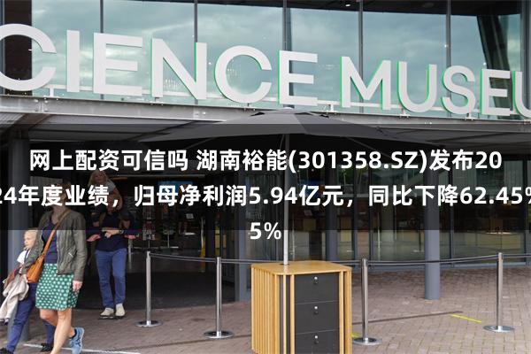网上配资可信吗 湖南裕能(301358.SZ)发布2024年度业绩，归母净利润5.94亿元，同比下降62.45%