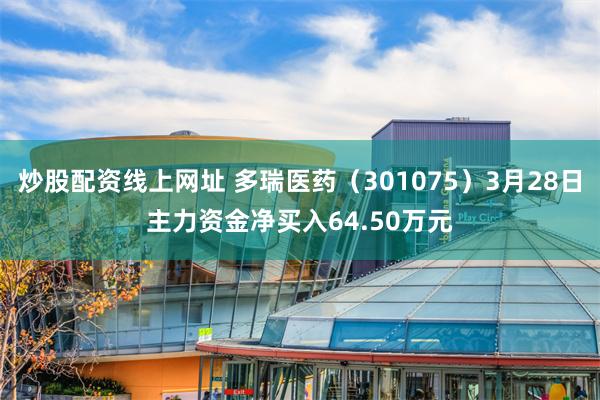炒股配资线上网址 多瑞医药（301075）3月28日主力资金