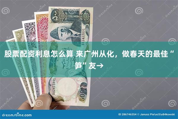 股票配资利息怎么算 来广州从化，做春天的最佳“笋”友→