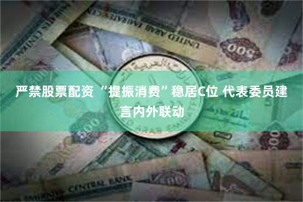 严禁股票配资 “提振消费”稳居C位 代表委员建言内外联动