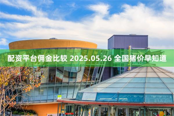 配资平台佣金比较 2025.05.26 全国猪价早知道