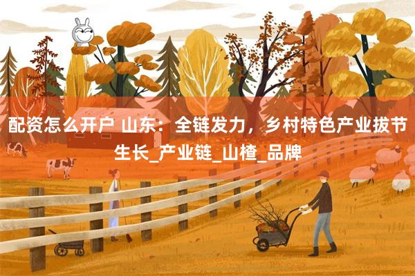 配资怎么开户 山东：全链发力，乡村特色产业拔节生长_产业链_
