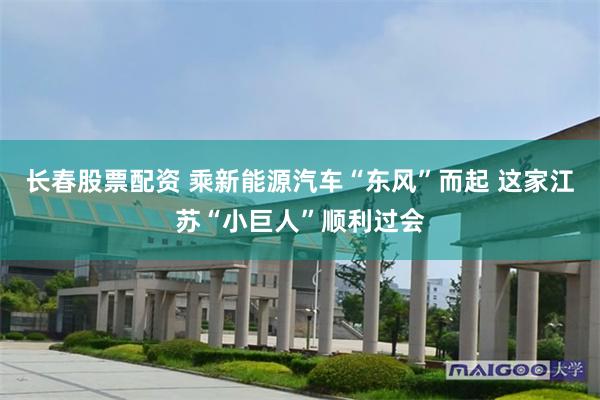长春股票配资 乘新能源汽车“东风”而起 这家江苏“小巨人”顺