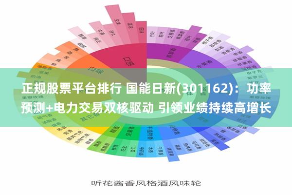 正规股票平台排行 国能日新(301162)：功率预测+电力交易双核驱动 引领业绩持续高增长