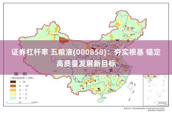 证券杠杆率 五粮液(000858)：夯实根基 锚定高质量发展