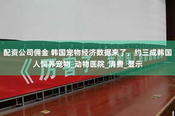 配资公司佣金 韩国宠物经济数据来了，约三成韩国人饲养宠物_动